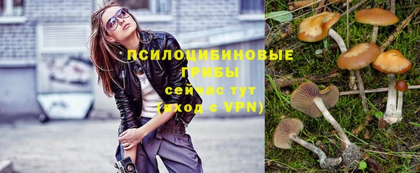 PSILOCYBIN Алексеевка