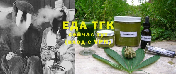 эйфоретик Алзамай