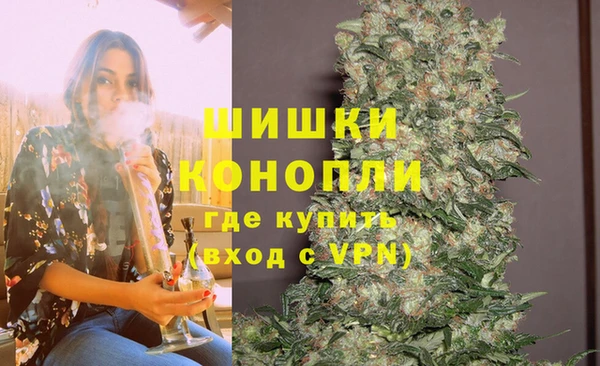 PSILOCYBIN Алексеевка