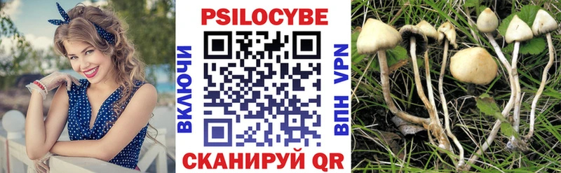 Галлюциногенные грибы Psilocybine cubensis  Домодедово 